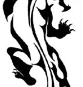 Kickboxing for teens 12-16yrs PANTHERS Kickboxing