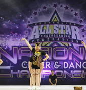 Competition Performance