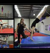 Womens Gymnastics