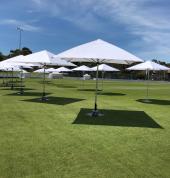 festival umbrella hire
