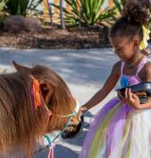 Melbourne's Pony Parties and Forest Rides Flowerdale Mobile Farm & Animals 1_small