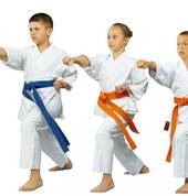 Nihon Bugei Kan Martial Arts - St Marys RSL Youth Club St Marys Judo Classes & Lessons 3_small