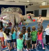 Dino Encounters Sunshine Coast Party Entertainment 8_small