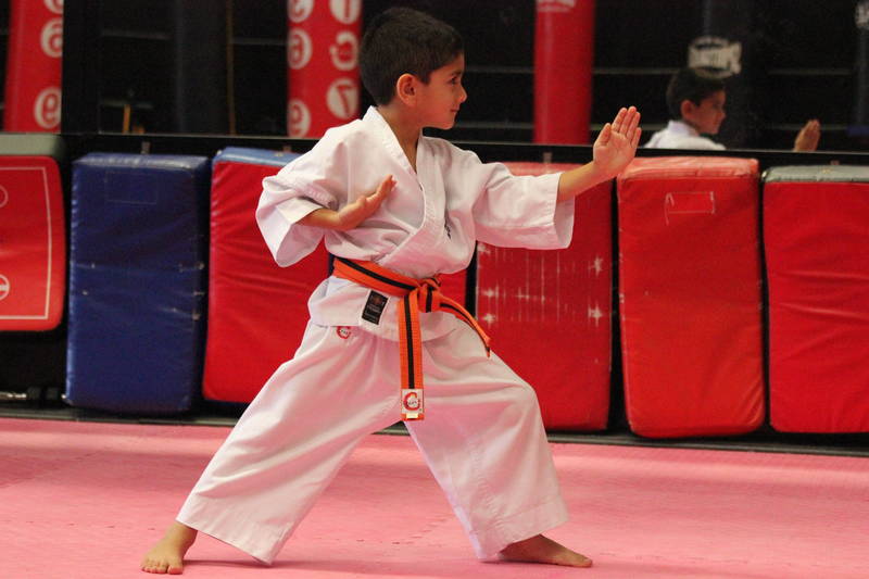 Young Tigers Kyokushin Karate Dojo Karate Schools For Kids