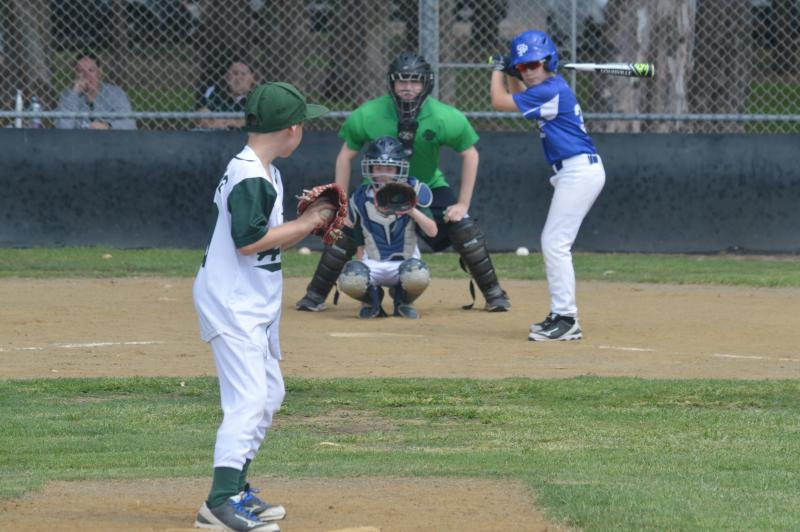 Beenleigh Hawks Baseball Club - Baseball Clubs for Kids - ActiveActivities