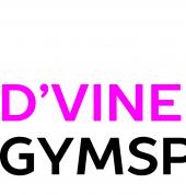 D'Vine Gymsports Smeaton Grange Gymnastics Centres 3_small