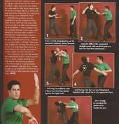 SiFu Henry Araneda's article in Blitz Magazine