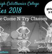 Bentleigh Calisthenics College Bentleigh Calisthenics Clubs 2_small