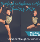 Bentleigh Calisthenics College Bentleigh Calisthenics Clubs 5_small