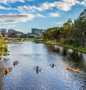 Adelaide City Kayak Tour