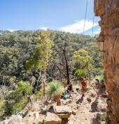 Rock Climb and Abseil at Morialta Conservation Park