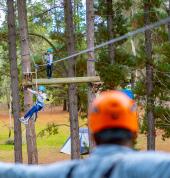 Mini Zipline