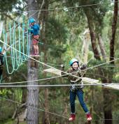 High Ropes Challenge Course