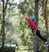 Leap of Faith