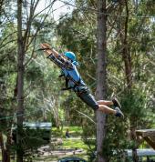 Leap of Faith