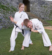 Standing arm bar from Kata