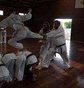 Young lady doing a flying kick over students and through a wooden board.