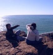 Seeing dolphins at Fingal
