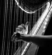 North Ryde HARP and PIANO Academy! North Ryde Extra Curricular 1_small