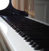 Plumpton Academy of Music Plumpton Extra Curricular 1_small