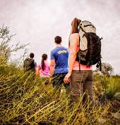 Bush Walk