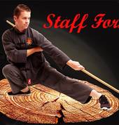 Kung fu long staff Gold Coast