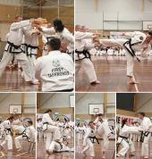FIRST TAEKWONDO MT LAWLEY Mount Lawley Taekwondo Classes & Lessons 3_small