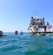 Relax onboard your luxury tour boat