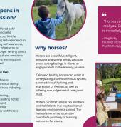 Yarraman Lodge Wyong Creek Educational School Holiday Activities 3_small
