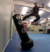 Jumping Round House Kick