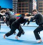 Fitness training is an important component of martial arts training