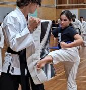 TURNING KICK - top of foot