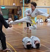 FLYING SIDE KICK - 2 board break
