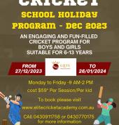 Elite Cricket Academy and Sports Gear Pty Ltd Hoppers Crossing Cricket Classes & Lessons 1_small