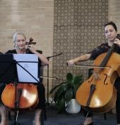 Cello Lessons for Adults