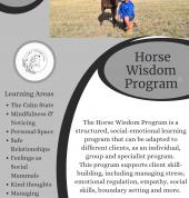 horse wisdom flyer