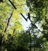 Walking on logs