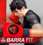 BarraFit or Mixed Martial Arts classes
