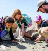 Ocean Life Education Brisbane Science Classes & Lessons 2_small