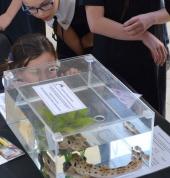 Ocean Life Education Brisbane Science Classes & Lessons 1_small