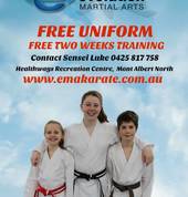 Evolution Martial Arts Mont Albert North Karate Clubs 1_small