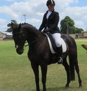 Vivi and Marty at Castle Hill Dressage