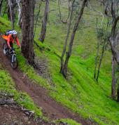 Mountain Biking