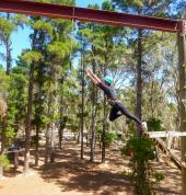 Leap of Faith