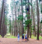 High Ropes Challenge Course