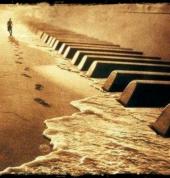Piano Lessons with Dannielle Scarborough Piano Classes & Lessons 3_small