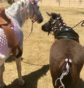 Unicorns