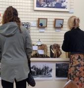 Sherbrooke Art Society Inc Belgrave Art Centres 1_small