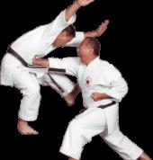 Karate