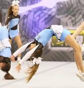 Learn to Flip!